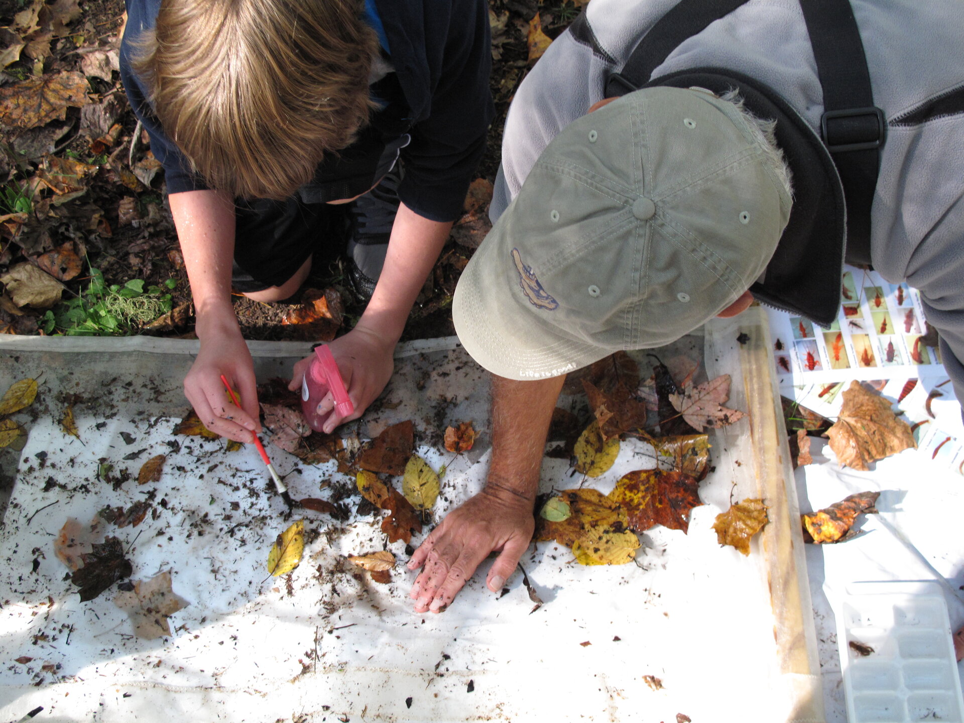 Two biologists standing in a stream, one holding a kick-net while the other agitates the bottom — collecting macroinvertebrates for an EPT bioassessment.